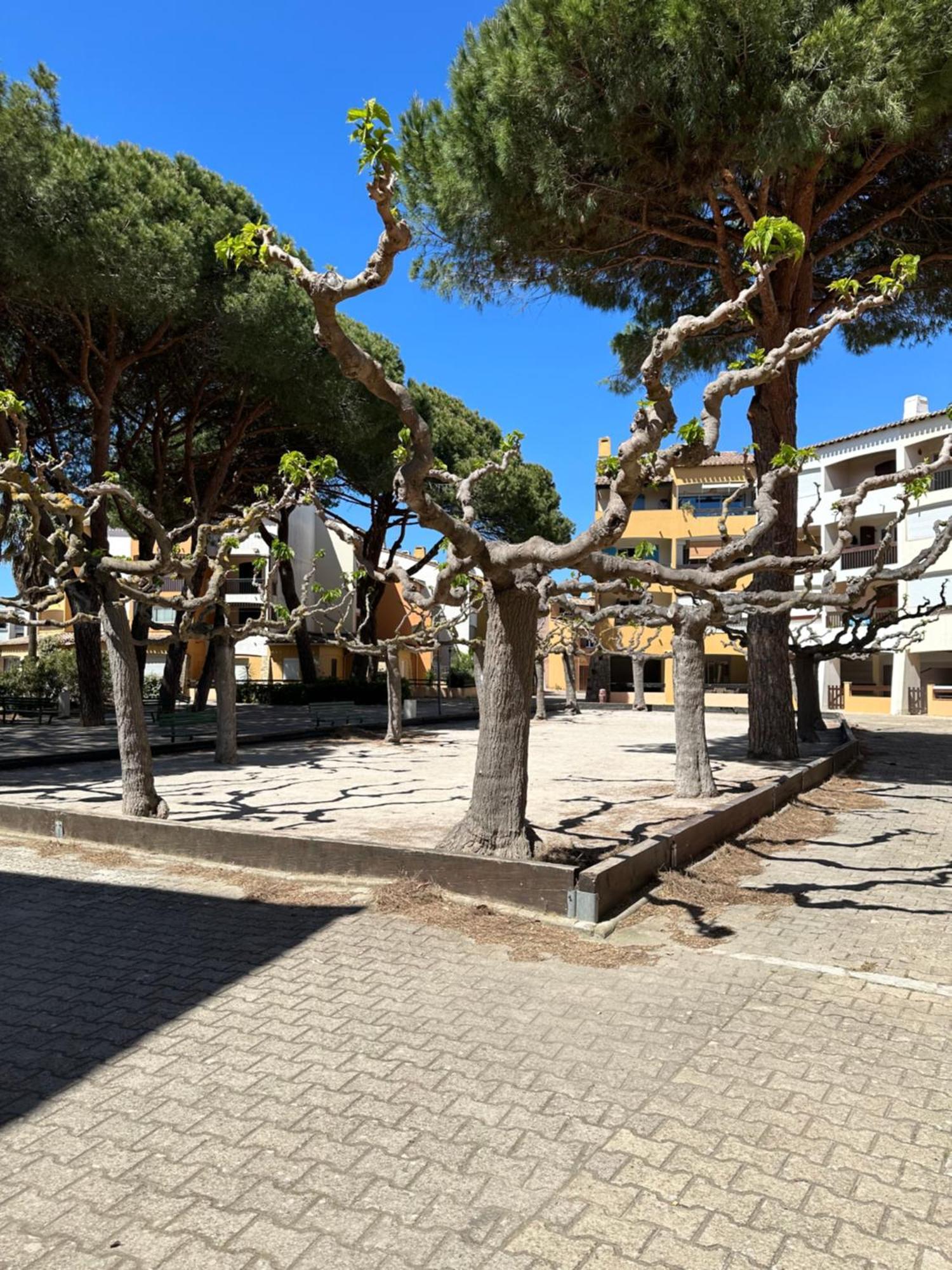 Apartment Camargue Village Sun And #1 5 Personnes