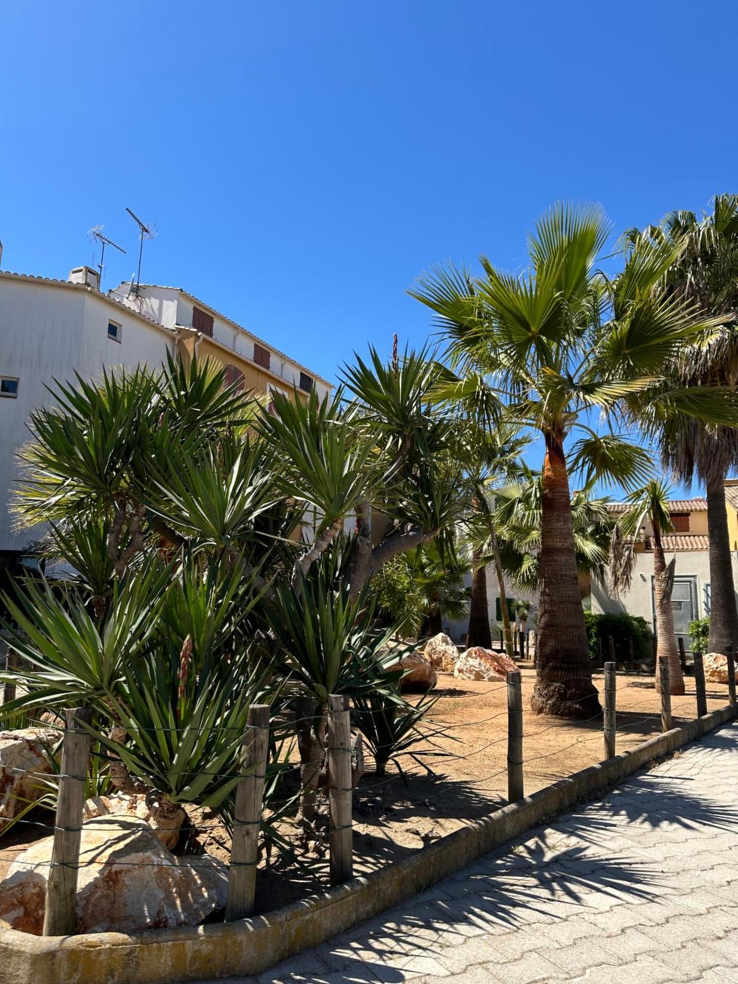 Camargue Village Sun And #1 5 Personnes Apartment *